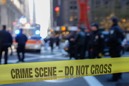 references are invaluable for research, as they offer in-depth explanations of key concepts, terminology, and theories within these fields