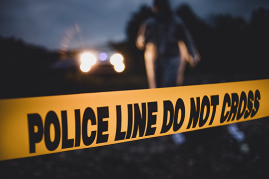 products cater to a diverse audience, including students, instructors, professionals, and researchers, ensuring that they have the resources needed to succeed in their academic and career pursuits