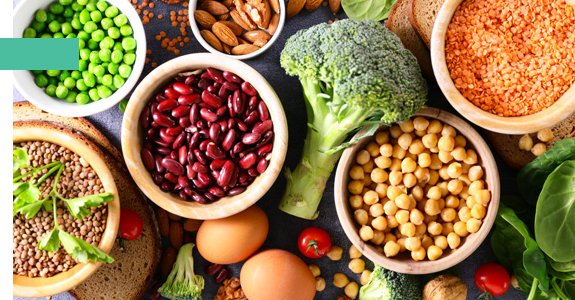 our full curriculum provides the scientific foundation and applied focus necessary for professional career settings